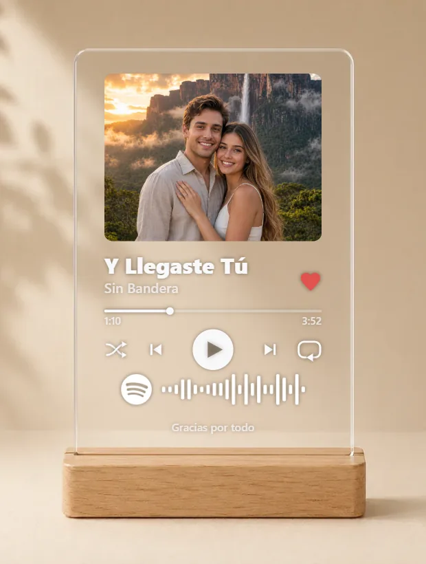 Placa Y Llegaste Tú